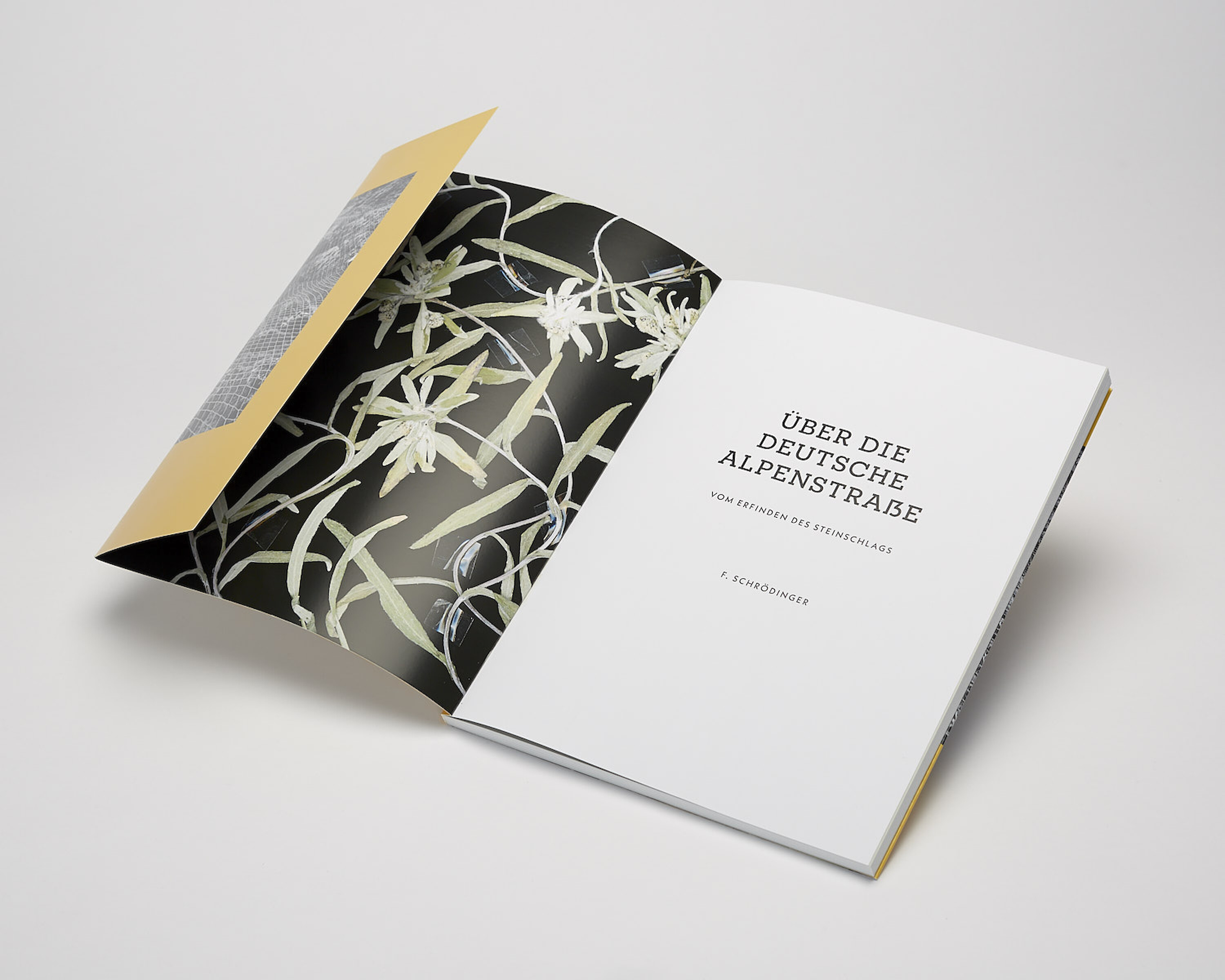 Bildname: Folkwang Finale Uber Die Deutsche Alpenstrasse Kc2gvr.3000x0