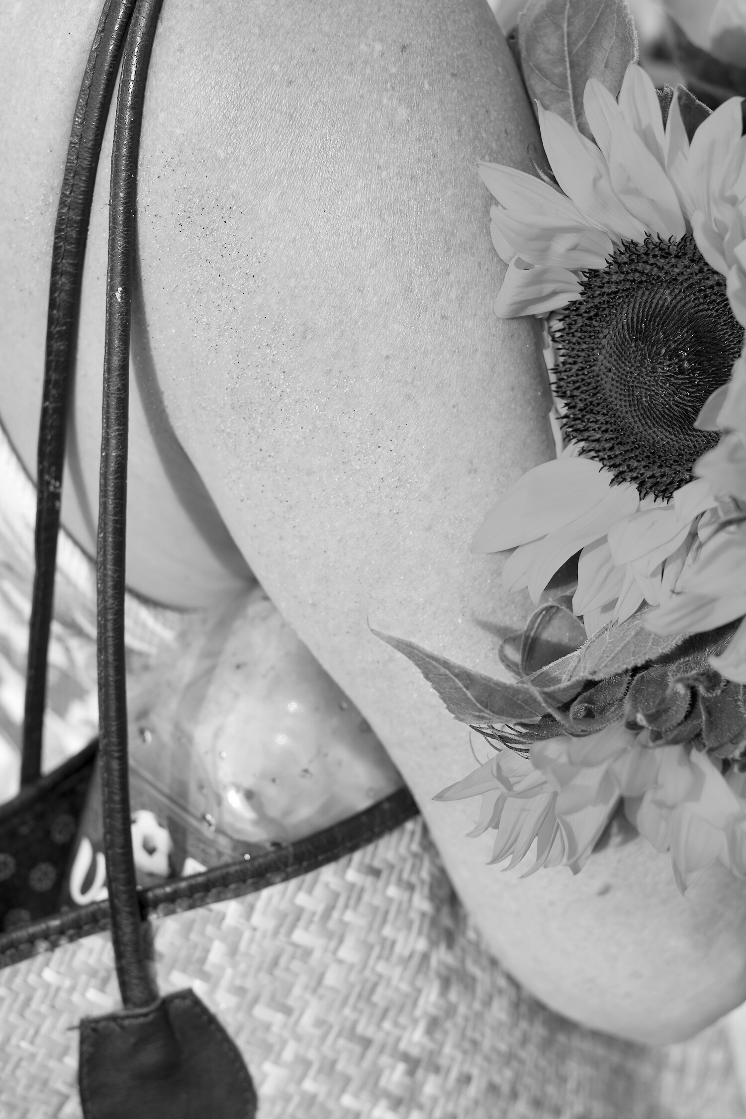 Sonnenblumengeste, Neue Nähe(Serie), 2024, Fotografie, Klaus Ebisset von Hasselbach