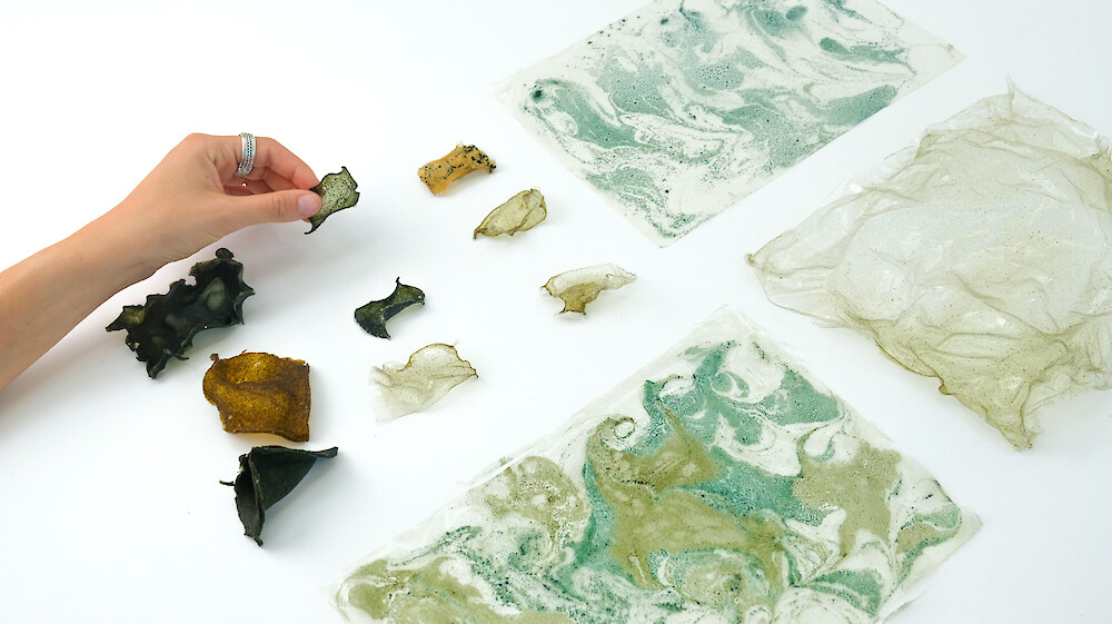 Bildname: Folkwang Finale Algae Hvtwd7.1000x0