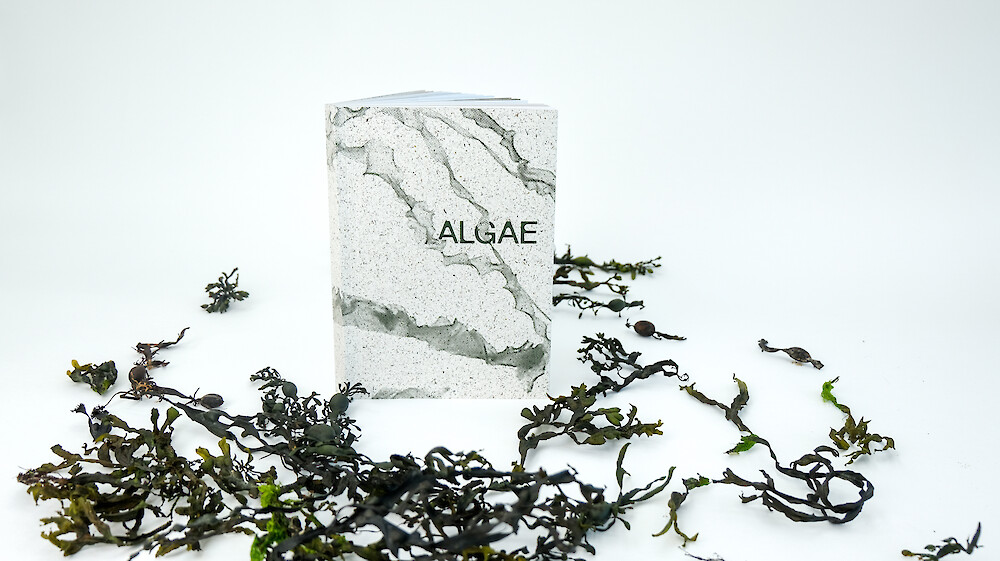 Bildname: Folkwang Industrial Design Algae Bzeon3.1000x0