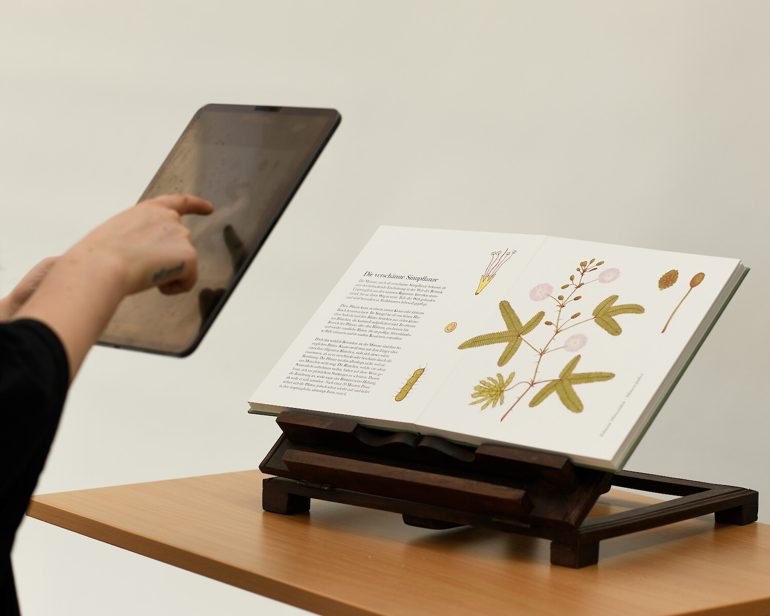 Bildname: Folkwang Industrial Design Das Lebende Lehrbuch Grossartiger Pflanzen Yahgaa.1500x0