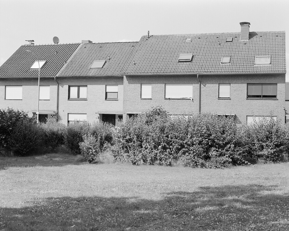 Bildname: Folkwang Finale Auf Ebenem Grund Cftffz.1000x0