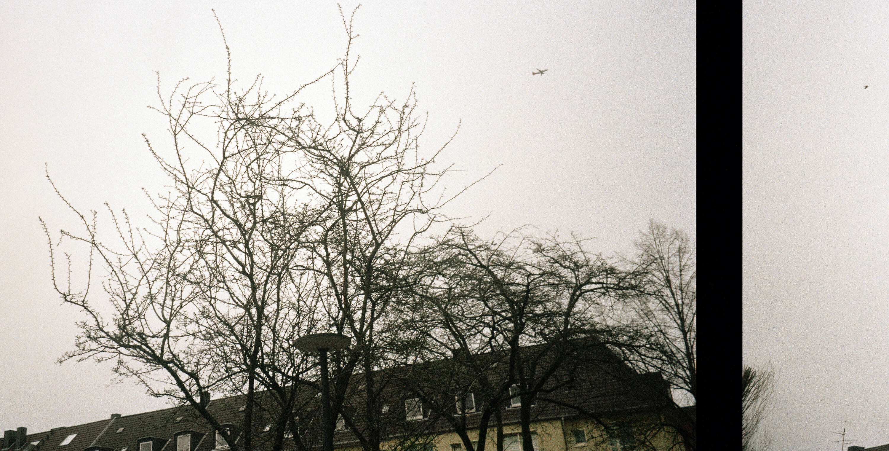 Bildname: Folkwang Finale Stadtvogel Stadtvogel Nanke7.3000x0
